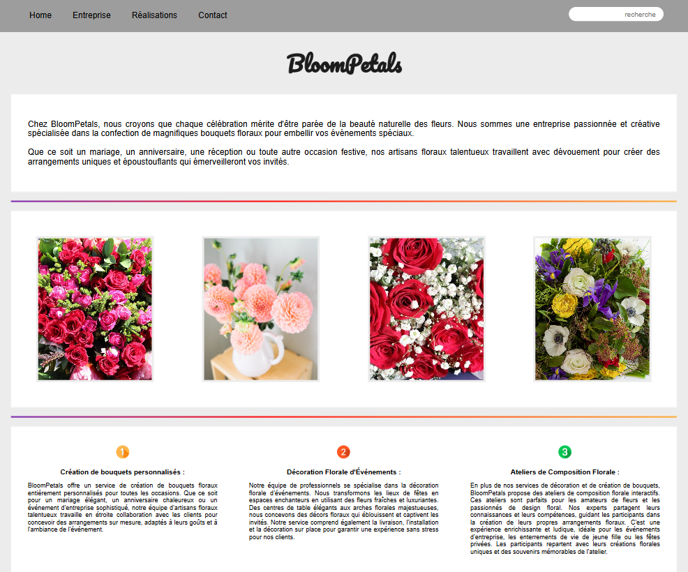 photo de la page d'accueil du site réalisé